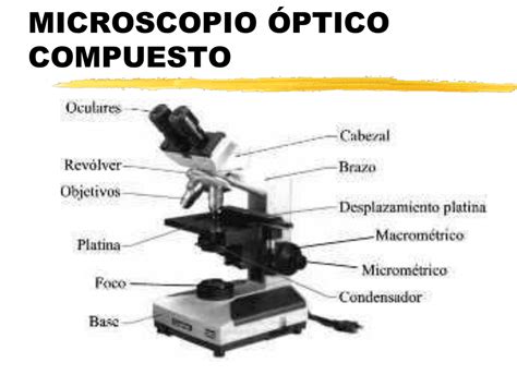 Microscopio Optico Compuesto