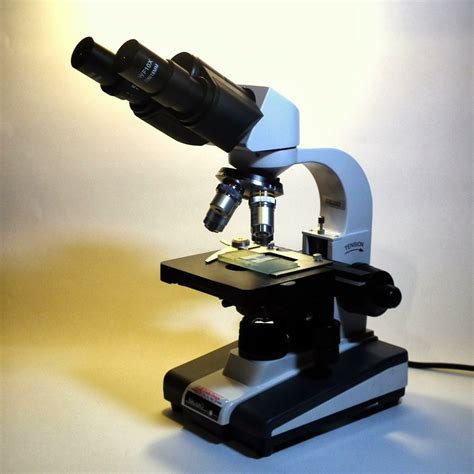 microscopio-4