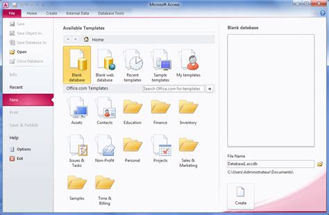 Microsoft Access 2010