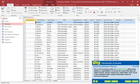 Microsoft Access Database 2016: From Design To Use ( Free Version)