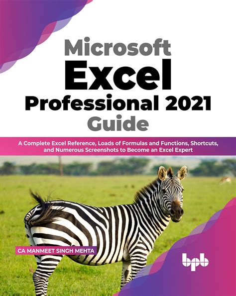 microsoft office bpb publications