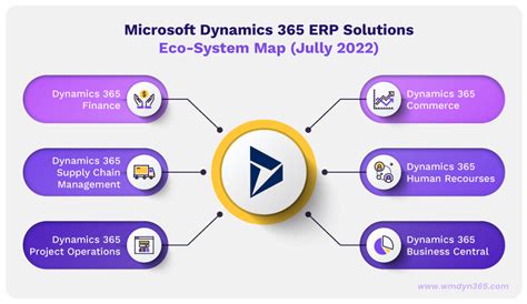 Read Microsoft Erp Solution 