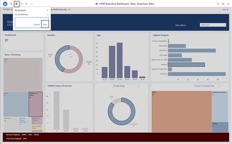 Read Online Microstrategy User Guide 