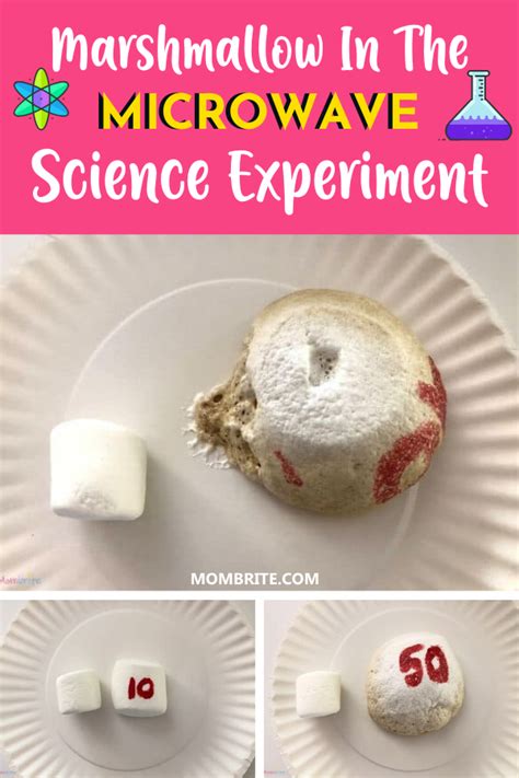 Microwave Experiments At School Science In School Microwave Science Experiments - Microwave Science Experiments