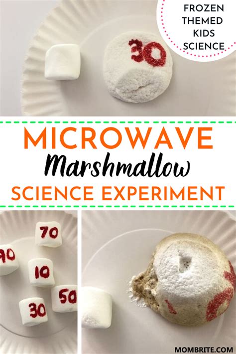 Microwave Science Experiments   Marshmallow In The Microwave Experiment Mombrite - Microwave Science Experiments