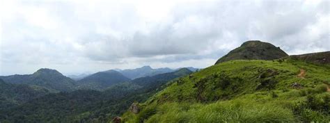 Microwave View Point