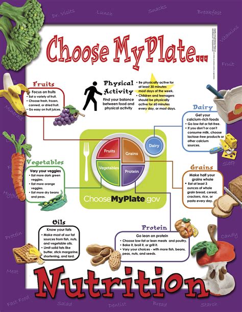 Middle School Nutrition Resources For Teaching Healthy Eating Nutrition Worksheet 8th Grade - Nutrition Worksheet 8th Grade