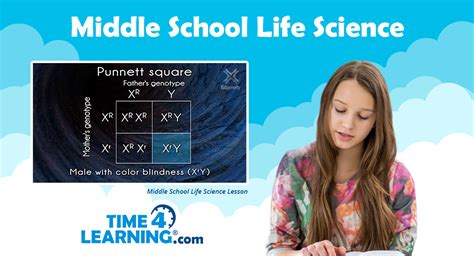 Middle School Online Biology Curriculum Time4learning 6th Grade Biology - 6th Grade Biology