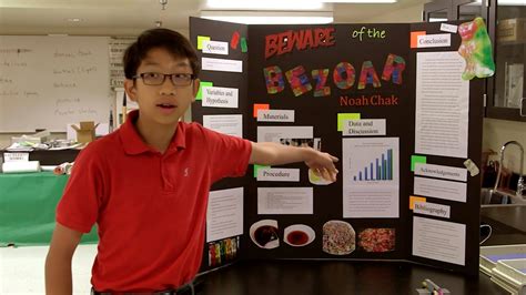 Middle School Science Fair Projects With Dogs Sciencing Dog Science Experiments - Dog Science Experiments