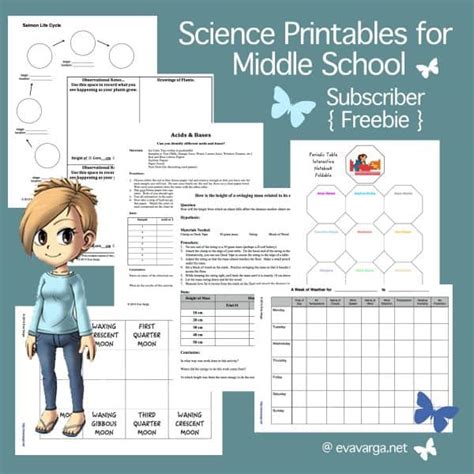 Middle School Science Workbook   Free Science Workbooks Tpt - Middle School Science Workbook
