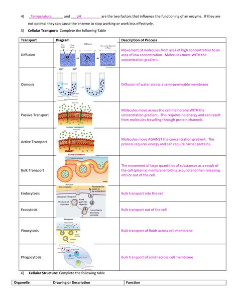 Full Download Midterm General Biology Test And Its Answers 