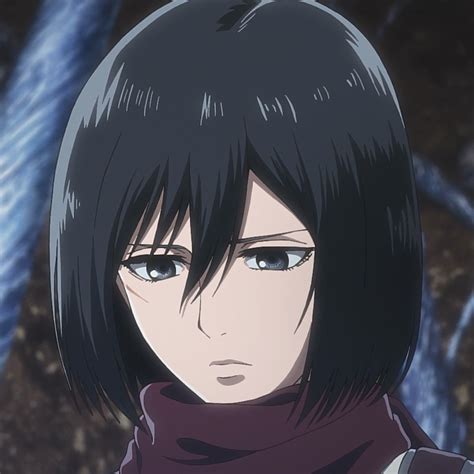 mikasa | Bng chuyn Mikasa Chnh hng Gi tt
