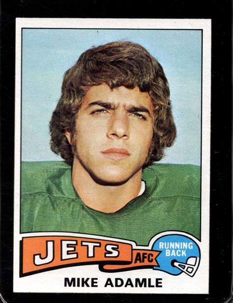 mike adamle biography