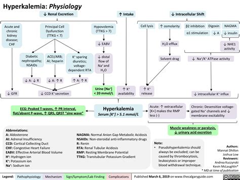 Full Download Mild Hyperkalemia Manual Guide 