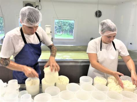 Milk Production Amp Cheesemaking Academy Of Cheese Science Of Cheese - Science Of Cheese