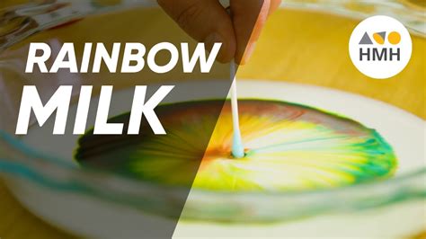 Milk Soap Rainbow Experiment 90 Second Science Youtube Milk Rainbow Science Experiment - Milk Rainbow Science Experiment