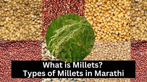 Millets Meaning In Marathi