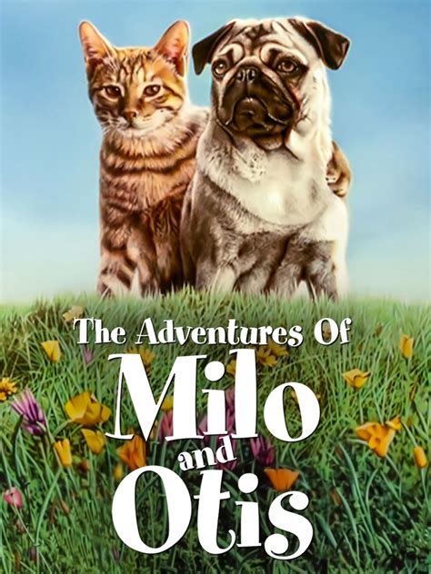 Milo And Otis