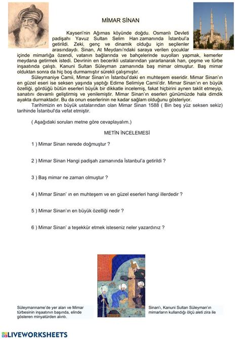 mimar sinan spyware software