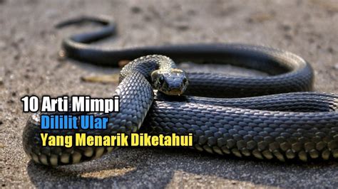 MIMPI DILILIT ULAR 🕵️ 10 Arti Mimpi Dililit Ular yang Menarik Diketahui - Ragam