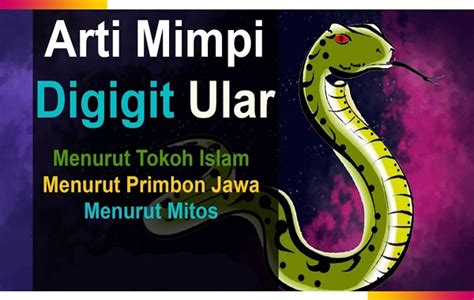 MIMPI DIGIGIT ULAR TOGEL - Arti Mimpi Dikejar Orang Gila Menurut Primbon Jawa