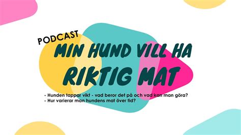 min hund tappar vikt