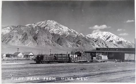 mina nevada