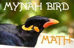 Minah Bird Math Systematic Mathematics Math Birds - Math Birds