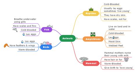 mind map for kids by tony buzan