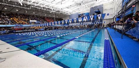 mind training for swimmers
