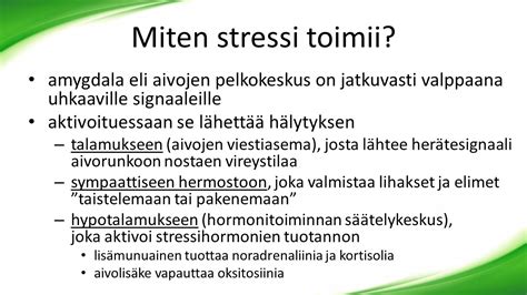 mindfulness stressinhallinta