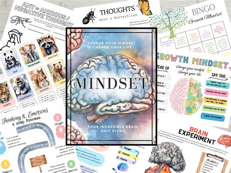 Mindset Study