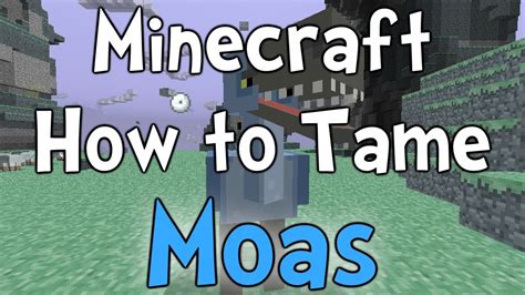 minecraft aether how to tame a moa