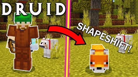 Minecraft Become A Druid Mod