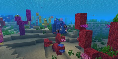 minecraft coral reef mod 12 5