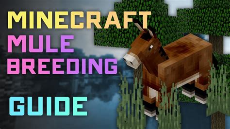 minecraft how to breed a mule