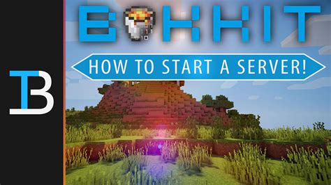 minecraft how to get a bukkit server