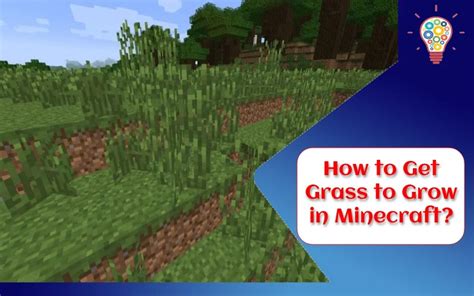 minecraft how to get grass to grow