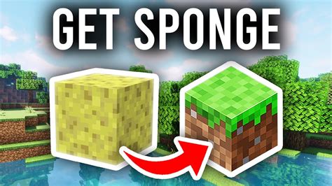 minecraft how to get sponge