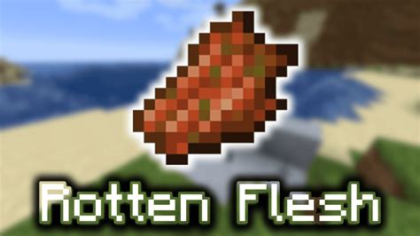 minecraft java edition - What can I do with Rotten Flesh? - Arqade