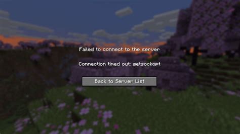 Minecraft Server Getsockopt