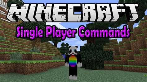 minecraft single player commands 181