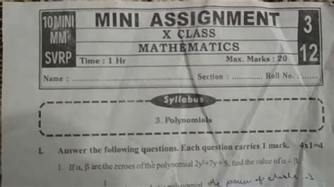 Mini Assignment 10th Class 2019 Physics