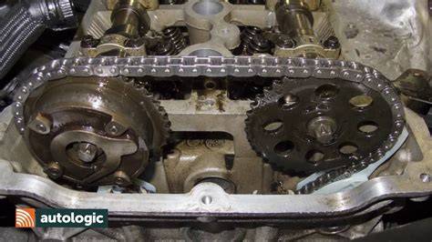 mini cooper timing belt or chain