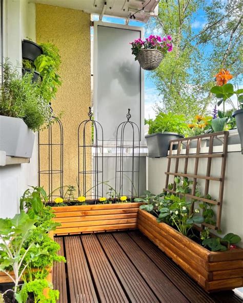 Mini Garden On The Balcony Fresh Vegetables Every Mini Garden Balcony - Mini Garden Balcony