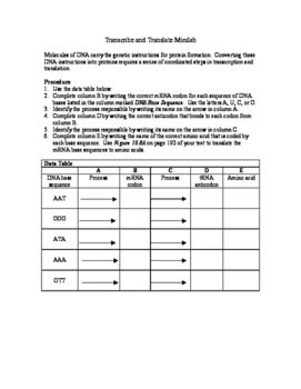 minilab transcribe and translate answer