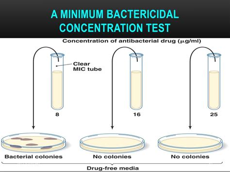 Minimum Inhibitory Concentration Test