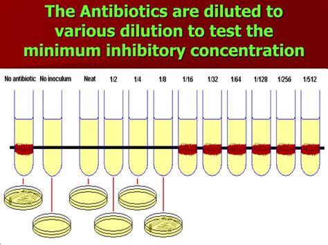 Minimum Inhibitory Concentration Testing