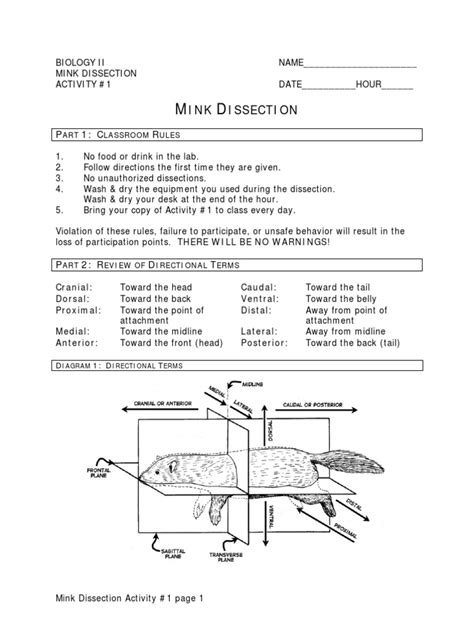 Download Mink Dissection Guide 