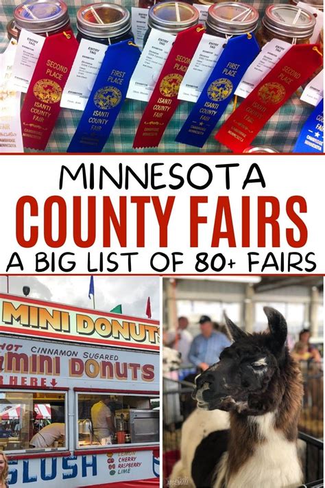 minnesota fairs